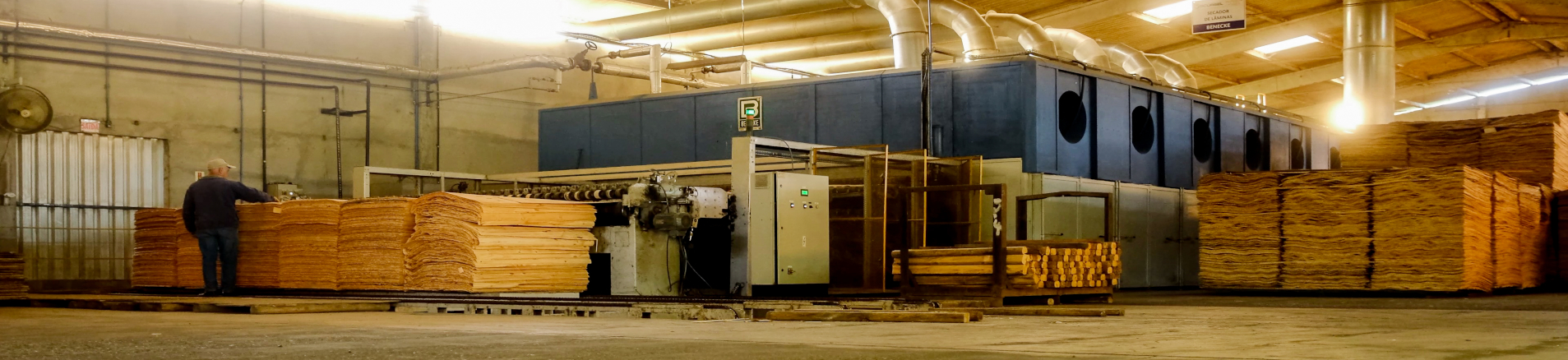 Compensado Plastificado