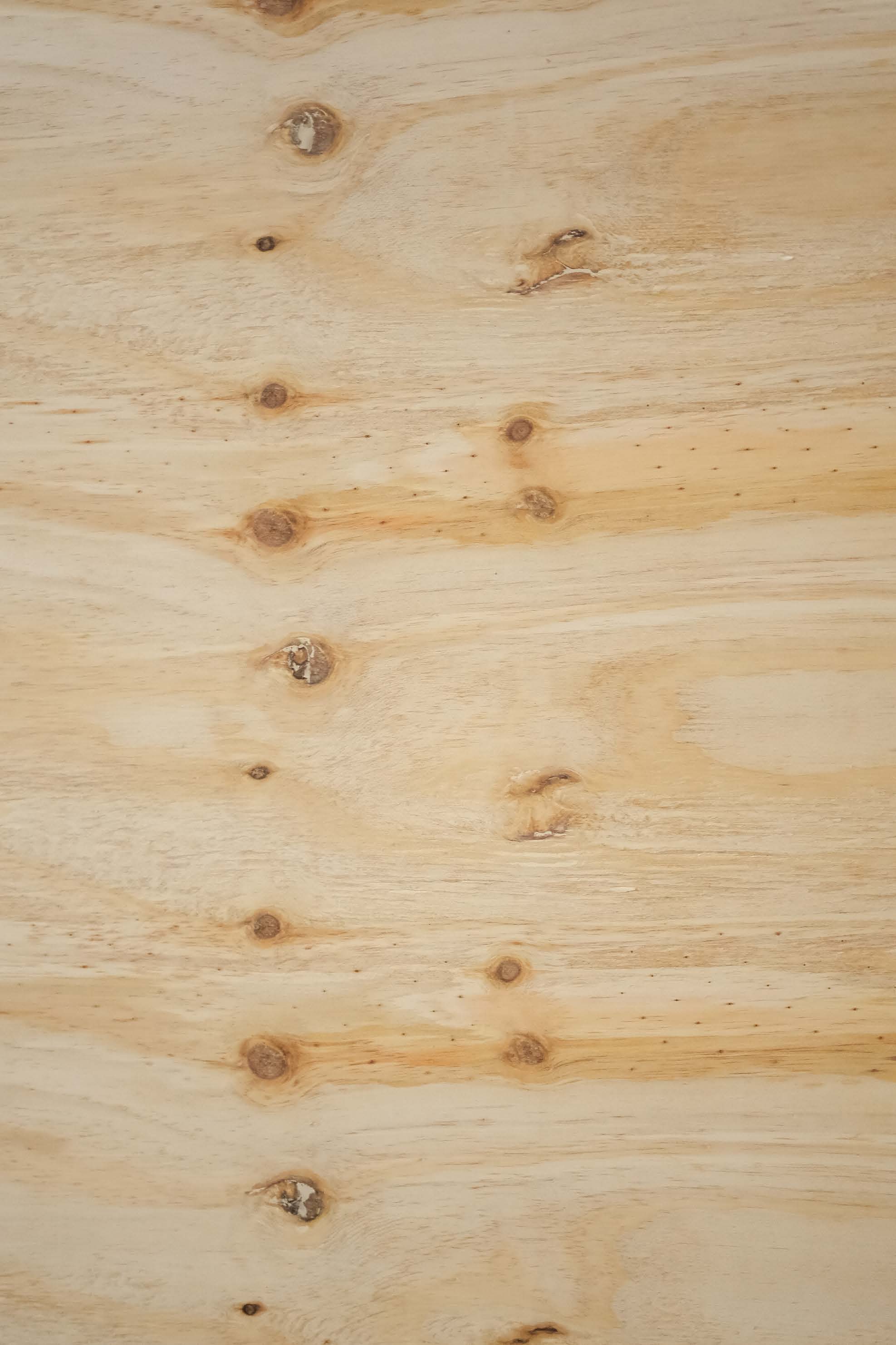 Compensado Pinus C+/C