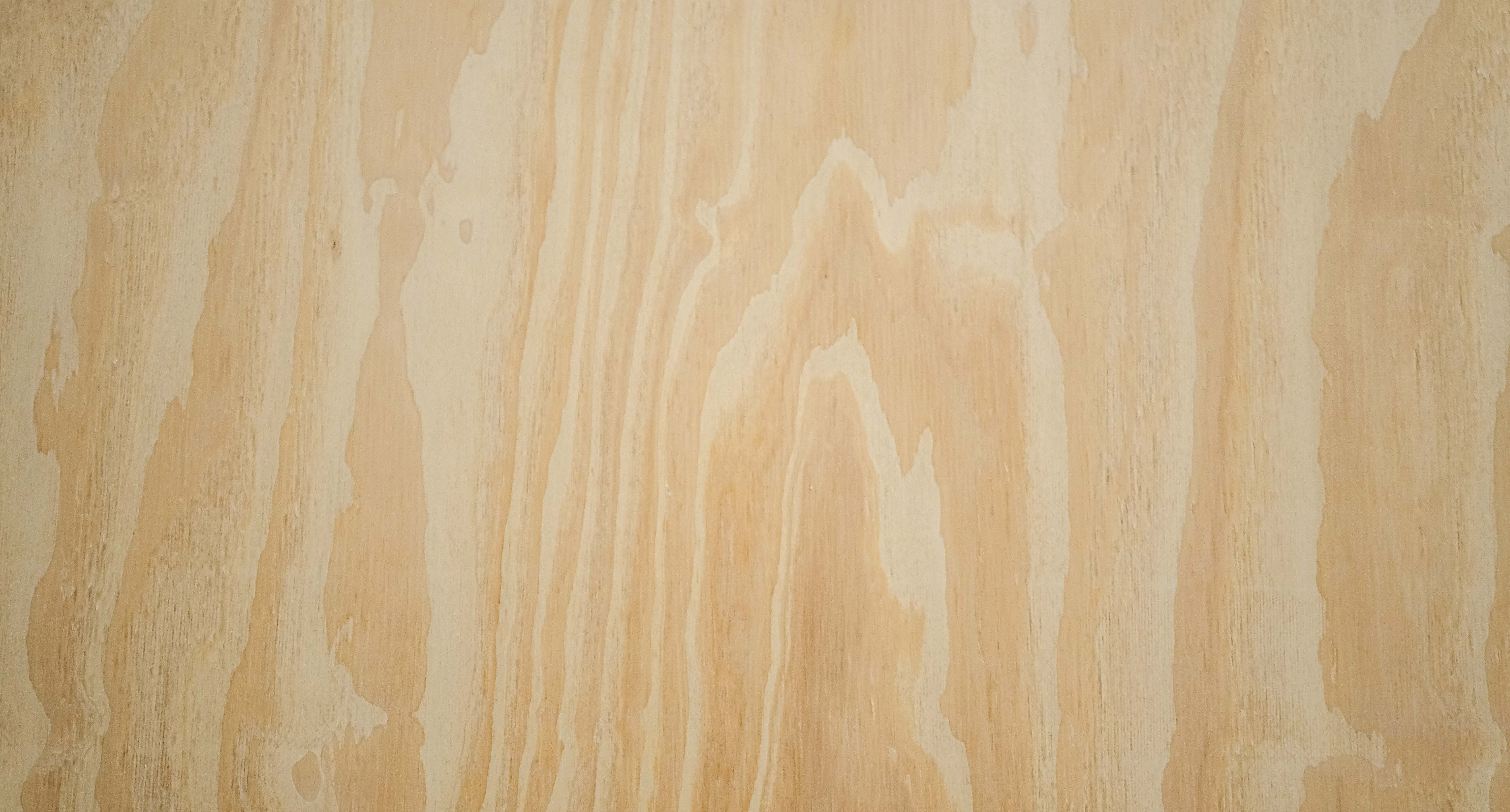 Compensado Pinus B/C